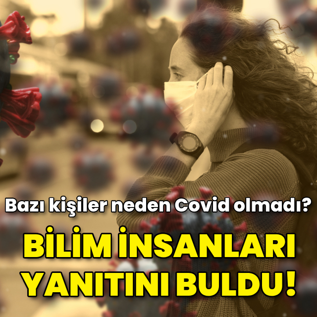 Bilim insanları, bazı kişilerin neden Covid olmadığını buldu