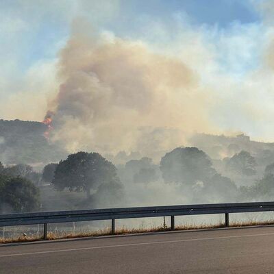 Çanakkale'de bir orman yangını daha