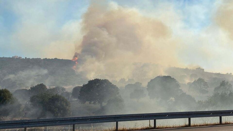 Çanakkale'de bir orman yangını daha