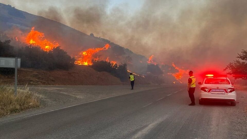 Yangında 10 hektar makilik alan zarar gördü