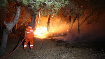 Çanakkale Ayvacık'ta orman yangını: 1 köy boşaltıldı