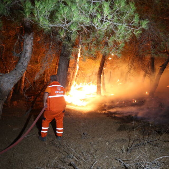 Çanakkale Ayvacık'ta orman yangını: 1 köy boşaltıldı