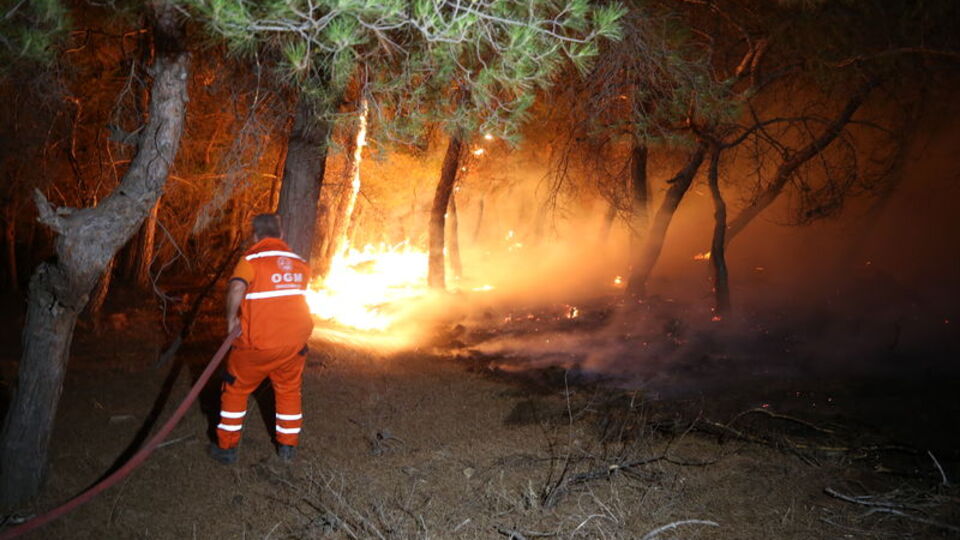 Çanakkale Ayvacık'ta orman yangını: 1 köy boşaltıldı