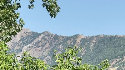 Şırnak'ta 4 terörist etkisiz