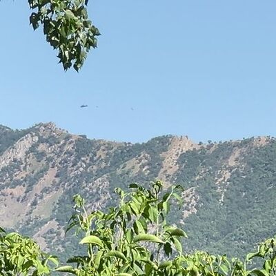 Şırnak'ta 4 terörist etkisiz