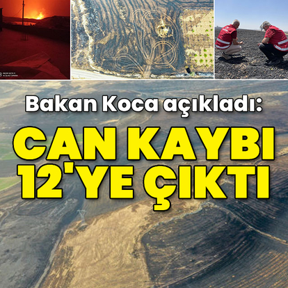 Diyarbakır-Mardin arasında anız felaketi: 12 ölü!