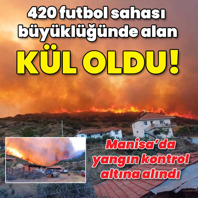 420 futbol sahası büyüklüğünde alan yok oldu!