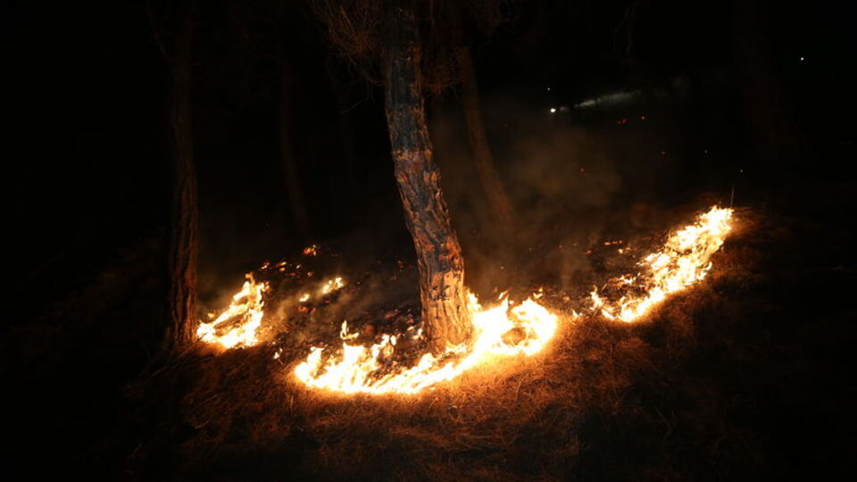 Orman yangınları 1 senede 5 kat arttı