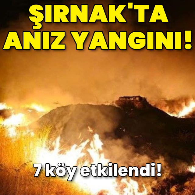 Şırnak'ta anız yangını! 7 köy etkilendi