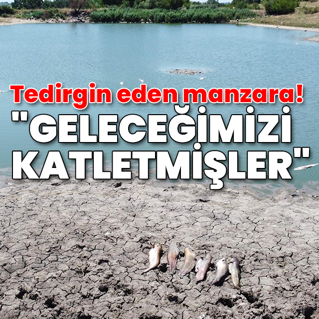 Edirne'de göletteki toplu balık ölümlerine inceleme: Geleceğimizi katletmişler