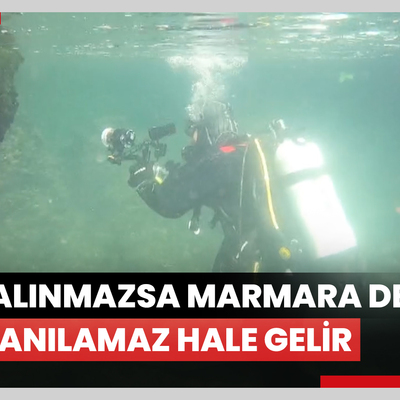 Prof. Dr. Sarı: Kirliliğe karşı önlem alınmazsa Marmara Denizi yararlanılamaz hale gelir