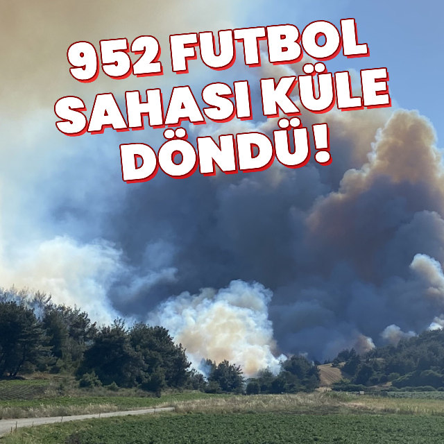 Çanakkale'deki hasarın boyutu yürekleri de yaktı!