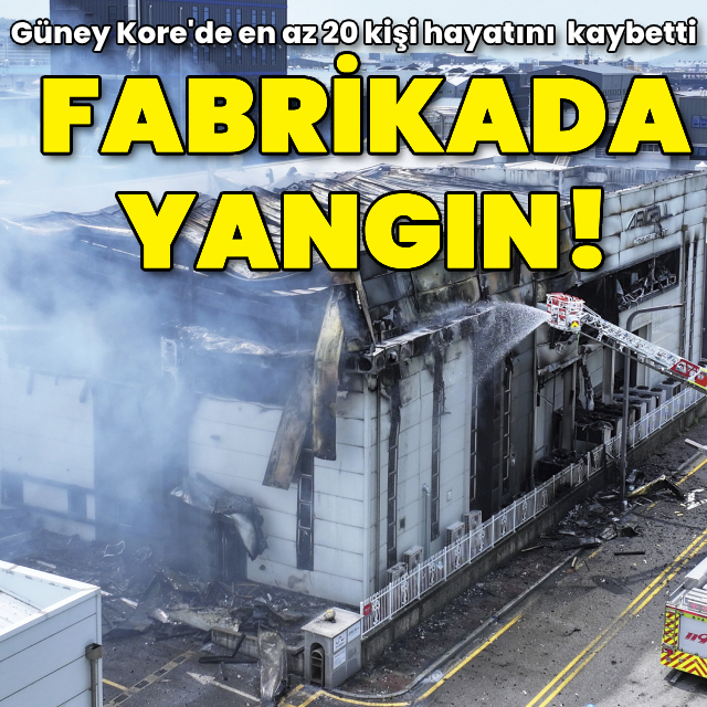 Güney Kore'de fabrika yangını!