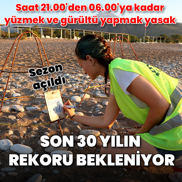 Çıralı'da deniz kaplumbağası yuva sayısında 30 yılın rekoru bekleniyor
