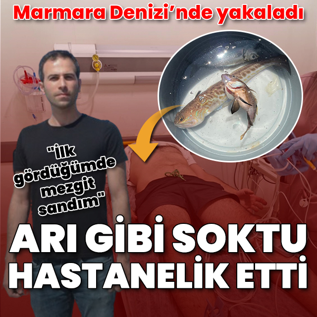 Marmara Denizi'nde yakalandı: Zehirli trakonya balığı amatör balıkçıyı hastanelik etti