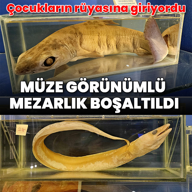 Çocukların rüyasına giriyordu: Müze görünümlü deniz mezarlığı boşaltıldı