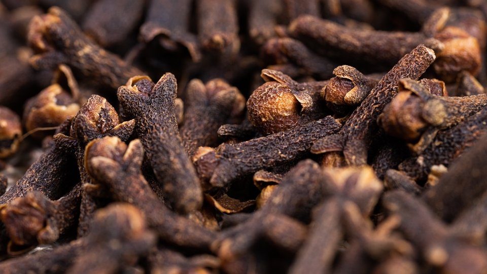 İşte en etkili bitkisel sinek kovucular!