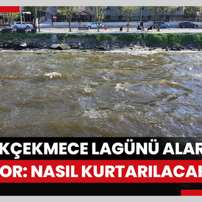 Küçükçekmece Lagünü alarm veriyor: Nasıl kurtarılacak?