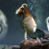 25 Aralık hangi burç?