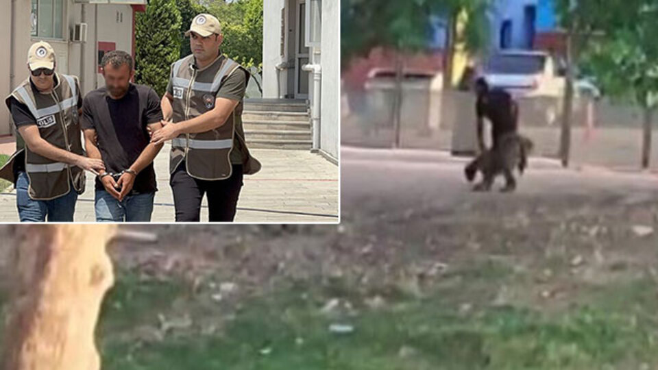 Hasta koyunu tekmeledi! Kendisini böyle savundu!