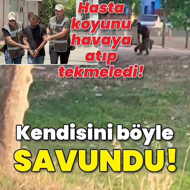 Hasta koyunu tekmeledi! Kendisini böyle savundu!