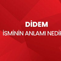 Didem isminin anlamı nedir?