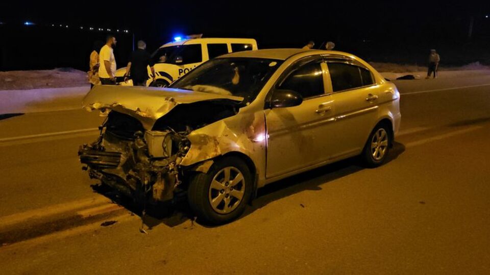 Otomobilin çarptığı 17 küçükbaş hayvan öldü