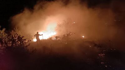 Elazığ'daki orman ve mera yangını kontrol altında