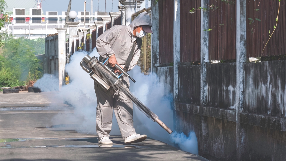ABD'li yetkililerden Dang hummasına karşı uyarı!