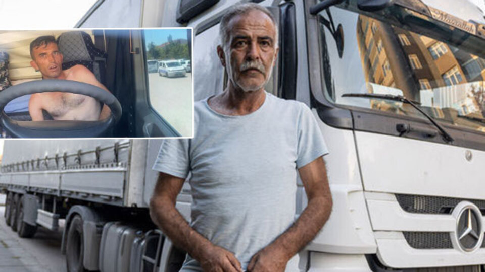 Açık pencereden içeri girdi! TIR'da dehşet!