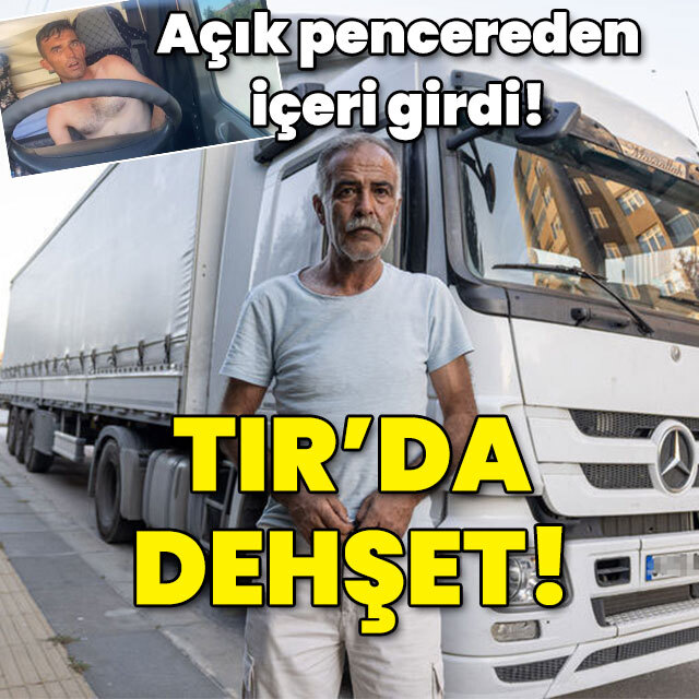 Açık pencereden içeri girdi! TIR'da dehşet!