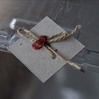 Ankara kaç Milletvekili çıkaracak?