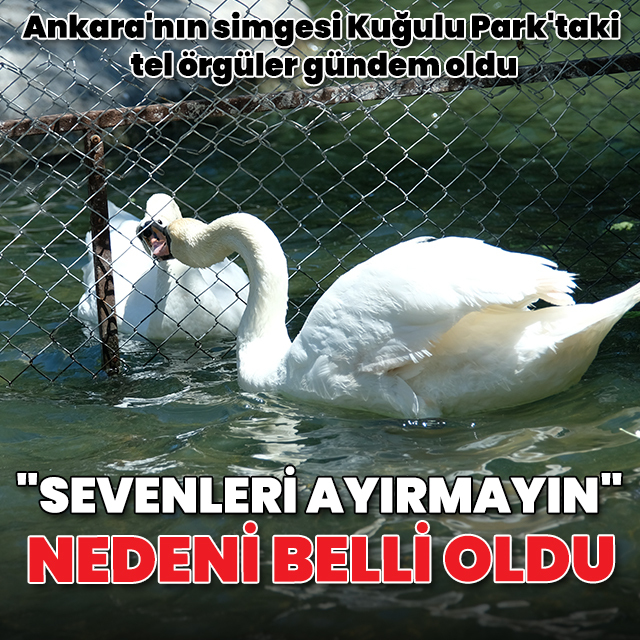 Ankara'nın simgesi Kuğulu Park'taki tel örgüler gündem olmuştu: Nedeni belli oldu