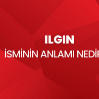 Ilgın isminin anlamı nedir?