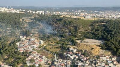 İzmir'de ormanlık alanda yangın çıktı