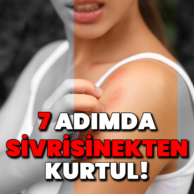 7 adımda sivrisineklerden kurtulabilirsiniz!