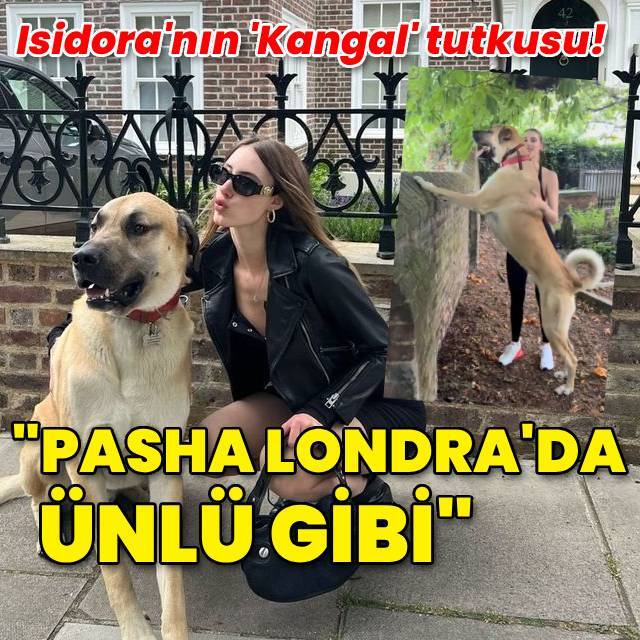 Londra'da yaşayan Isidora'nın 'Kangal' tutkusu