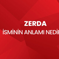 Zerda isminin anlamı nedir?