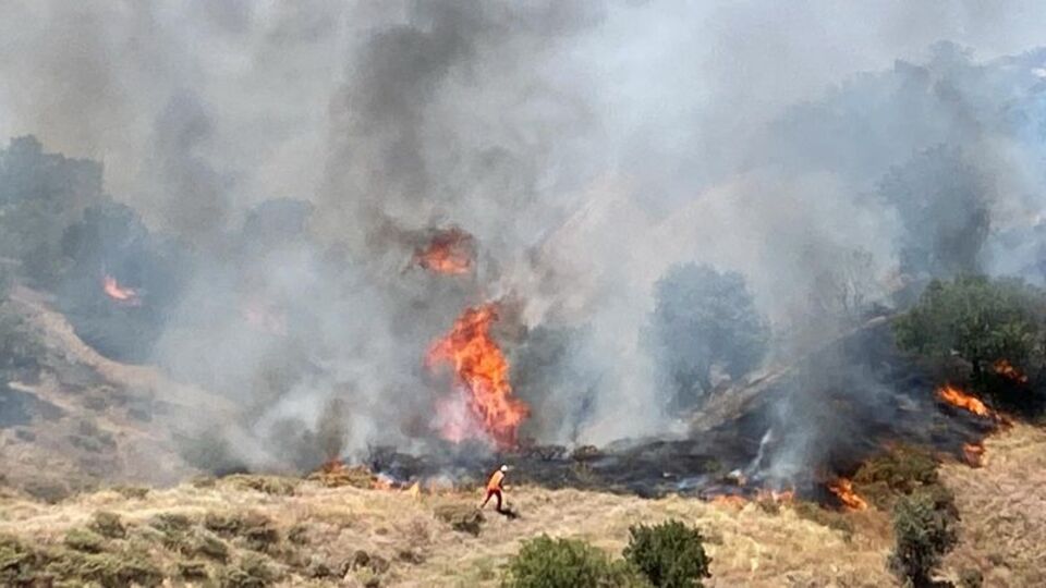 Bingöl'de orman yangınları çıktı!