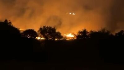 İzmir'deki orman yangını 3 saatte söndürüldü