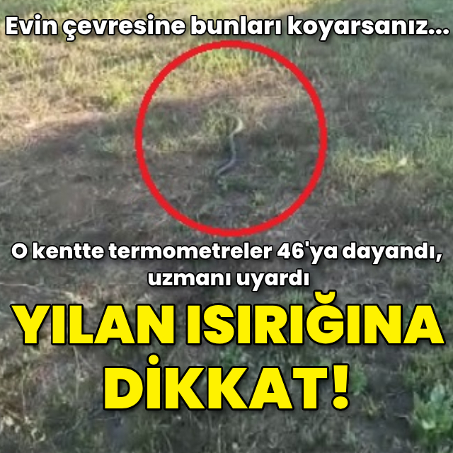 Aşırı sıcaklar arttı! Uzmanından 'yılan ısırığı' uyarısı!