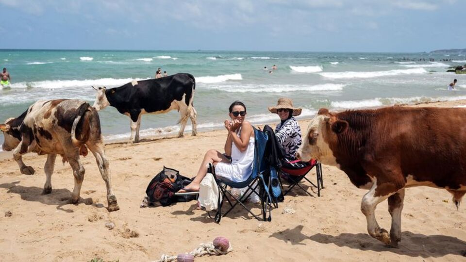 Burası İstanbul! Sıcaktan bunalıp sahile indiler!