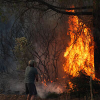 İzmir'de orman yangını