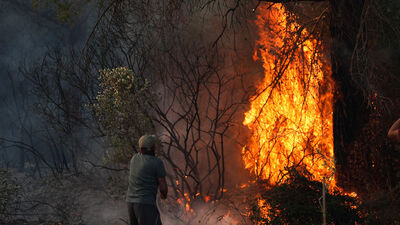 İzmir'de orman yangını