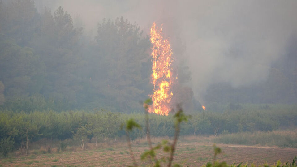 Yangın bölgesinde kuvvetli rüzgar sürüyor!