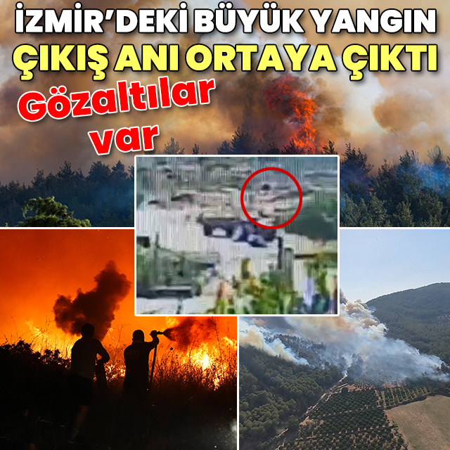 Çeşme, Selçuk ve Menderes'teki orman yangınları kontrol altında (Yangınların nedeni belli oldu)