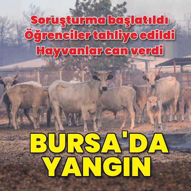 Bursa'da yangın büyük ölçüde kontrol altında
