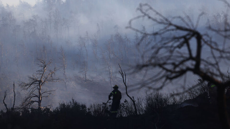 Yunanistan'da orman yangını: 1 ölü