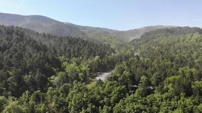 Ormanlık alanlara giriş yasaklandı