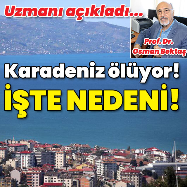 Uzmanı açıkladı! "Karadeniz ölüyor!" İşte nedeni...